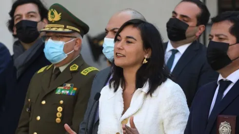 ¿Qué es el Ministerio de Seguridad y qué funciones cumpliría?