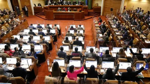 Test de drogas diputadas y diputados