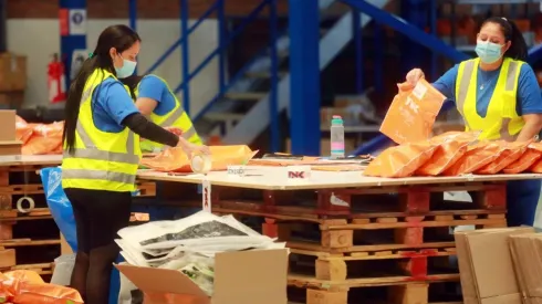 ¿Cómo apelar si no recibí el pago anual Subsidio al Empleo Joven 2022?