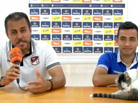 Gato ardiente irrumpe en conferencia y se lame