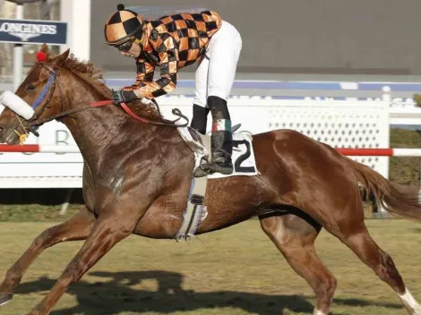 ¿Dónde ver la hípica en la carrera del Nacional Ricardo Lyon?