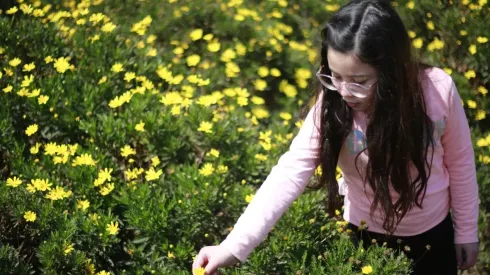 ¿Cómo estará el tiempo este fin de semana en Santiago?