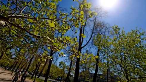 Pronóstico del tiempo