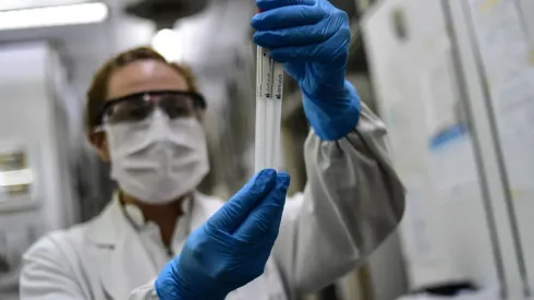 ¿Por qué la nueva cepa de coronavirus se llama Perro del Infierno?