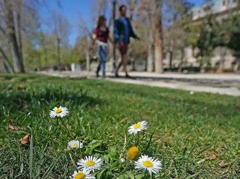 Conoce aquí el pronóstico del tiempo para esta semana en Santiago