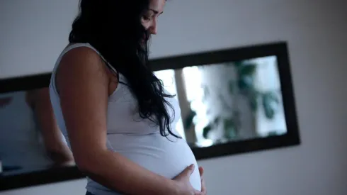 ¿Cómo revisar la fecha de pago de la Asignación Maternal?