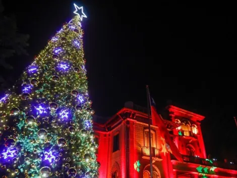 ¿Cuándo se arma el Arbolito de Navidad?