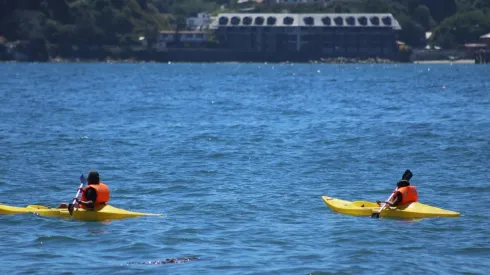 Bono Vacaciones 2023.