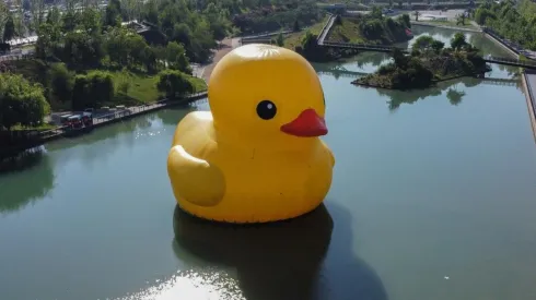 Pao de Hule Festival Hecho en Casa
