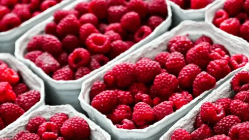 Retiran más de 1.200 cajas de frambuesas chilenas de EEUU