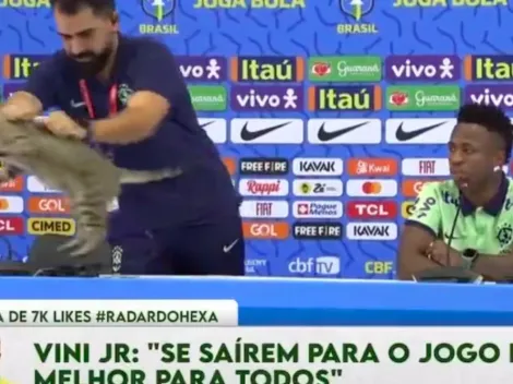 Gato interrumpe conferencia de Vinicius y jefe de prensa lo lanza lejos
