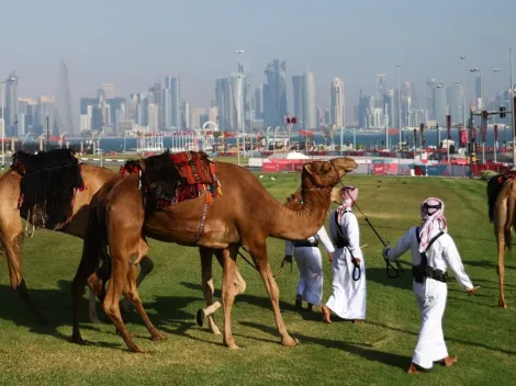 Kenotrotamundos: Panoramas en días sin fútbol en Qatar
