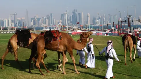 Panoramas en días sin fútbol en Qatar: Andar en camello. Una instancia que aprovechó Eugenio Salinas, Kenotrotamundos en RedGol.