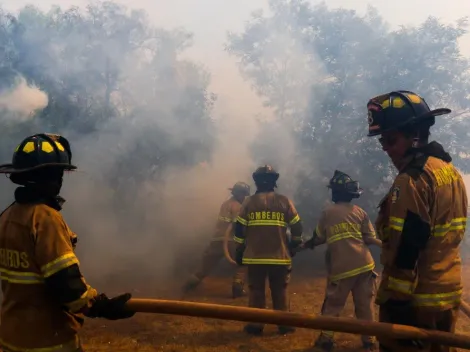 ¿Dónde está ubicado el Jardín Botánico de Viña del Mar?