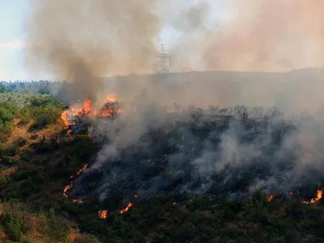 Gobierno anuncia querellas contra responsables de incendios forestales