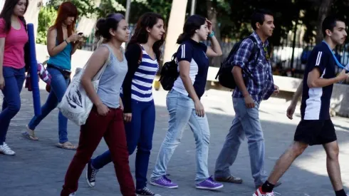 ¿Cómo puedo renovar mi CAE y hasta cuándo es el plazo?