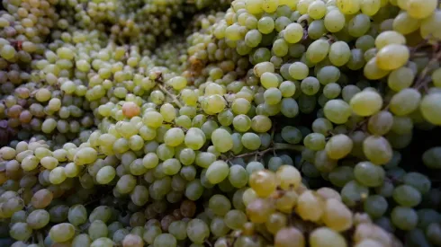 ¿Por qué se usa la cábala de comer 12 uvas para Año Nuevo?