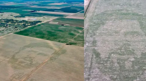 La cara de Messi en un campo en Córdoba