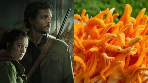 The Last of Us debutó este domingo en HBO Max.