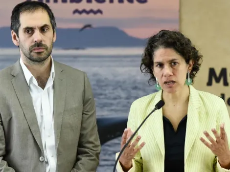 ¿Qué pasará ahora con el proyecto Dominga?