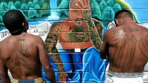 Las Maras son oriundas de Centroamérica, pero su origen está en Estados Unidos.