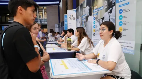 ¿Cuáles fueron las carreras con más postulaciones a la universidad?