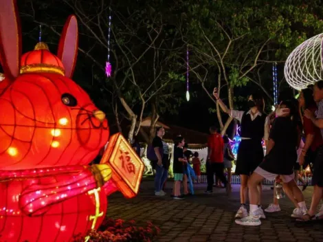 Hoy se celebra el Año Nuevo Chino ¿Qué animal eres?