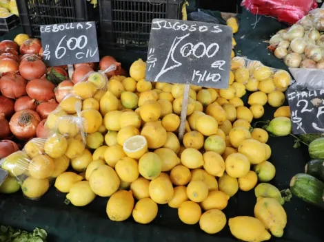 ¿Quiénes reciben el Bono Canasta Básica de enero?