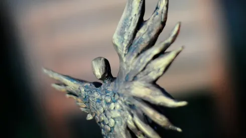 Los premios Caleuche están por comenzar su edición 2023.