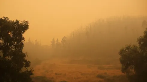 Incendios forestales