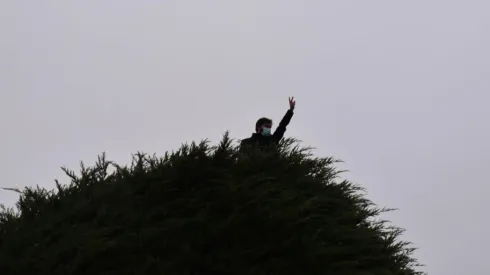 Intentan quemar árbol de la campaña de Boric