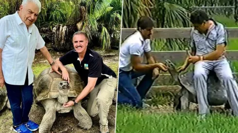 Don Francisco, Ron Magill y la tortuga Golliath suman más años que una bandada de loros