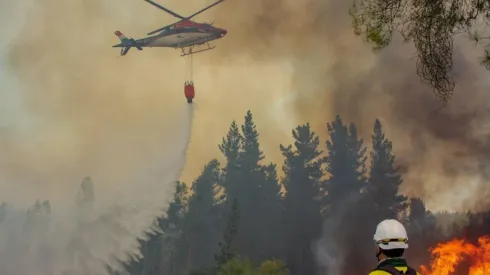 ¿Dónde hay incendios forestales?