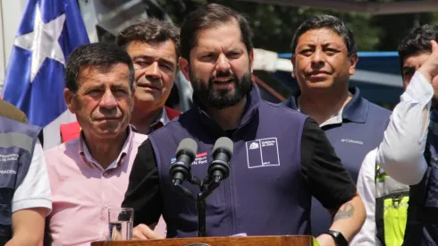 Boric se refiere a los culpables por los incendios forestales