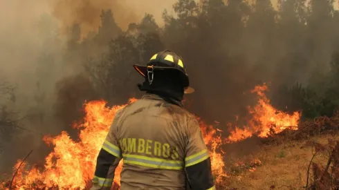 Persisten los incendios forestales