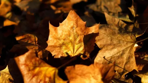 ¿Cuándo se termina el verano y empieza el otoño en Chile?