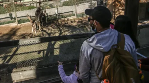 Conoce cuáles son los panoramas que ofrece Parquemet en verano