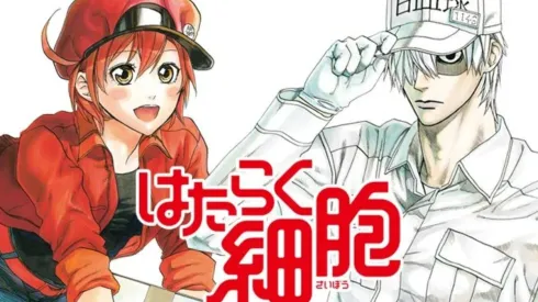 ¡El anime Cells al Work tendrá una película live action!