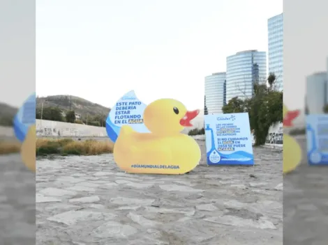 Día Mundial del Agua comienza con un pato de hule en el río Mapocho