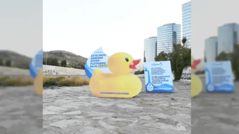 Día Mundial del Agua comienza con un pato de hule en el río Mapocho