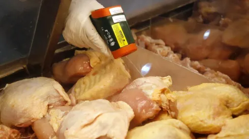 ¿Puedo comer pollo o pescado para Semana Santa?