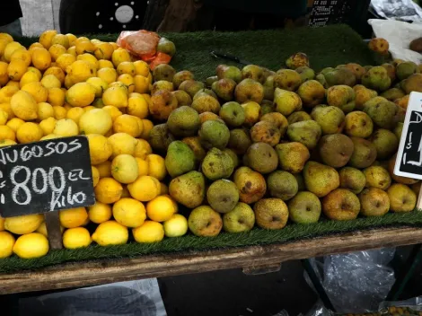 ¿Hasta cuándo se pagará el Bono Canasta Básica 2023?