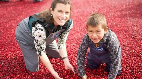 Piscina de cranberries