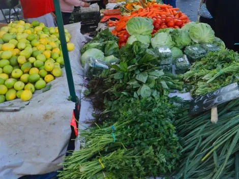 ¿Qué día se paga el Bono Canasta Básica de abril?