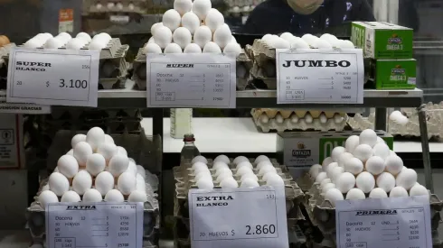 Productores de huevo piden medidas por gripe aviar