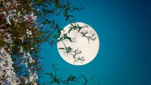 Calendario lunar 2023