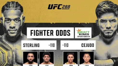 Aljamain Sterling es el vigente campeón del peso Gallo en la UFC.