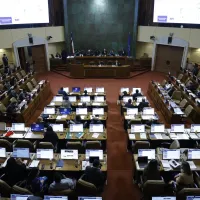 ¿De qué trata el proyecto para impedir un nuevo proceso constitucional en ocho años?