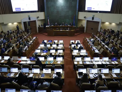 ¿De qué trata el proyecto para impedir un nuevo proceso constitucional en ocho años?