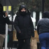 ¿Cuánto cuesta un Scaldasonno? Revisa precios y dónde comprar